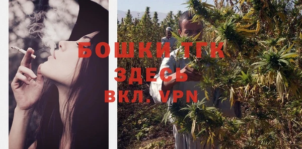 Альфа ПВП Инта