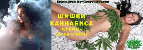 спайс Каменногорск
