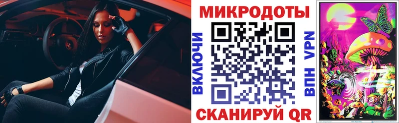 Купить закладки  Жердевка  Галлюциногенные грибы Psilocybe 